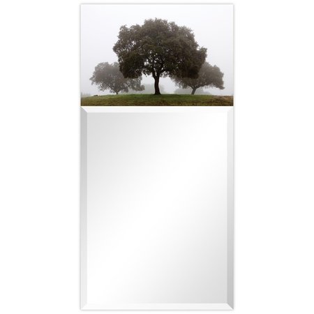 SOLID STORAGE SUPPLIES Solitude Rectangular Beveled Mirror on Free Floating Printed Tempered Art Glass SO2573486